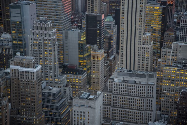 stars nyc doe