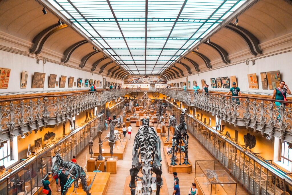 museum of jurassic technology
